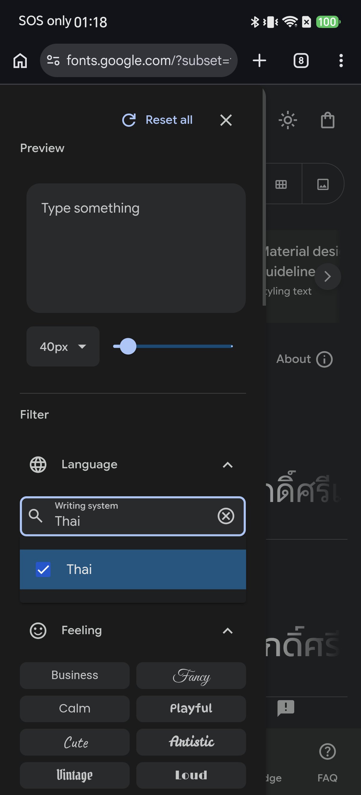 Google Fonts filter panel with Writing system dropdown searched for Thai