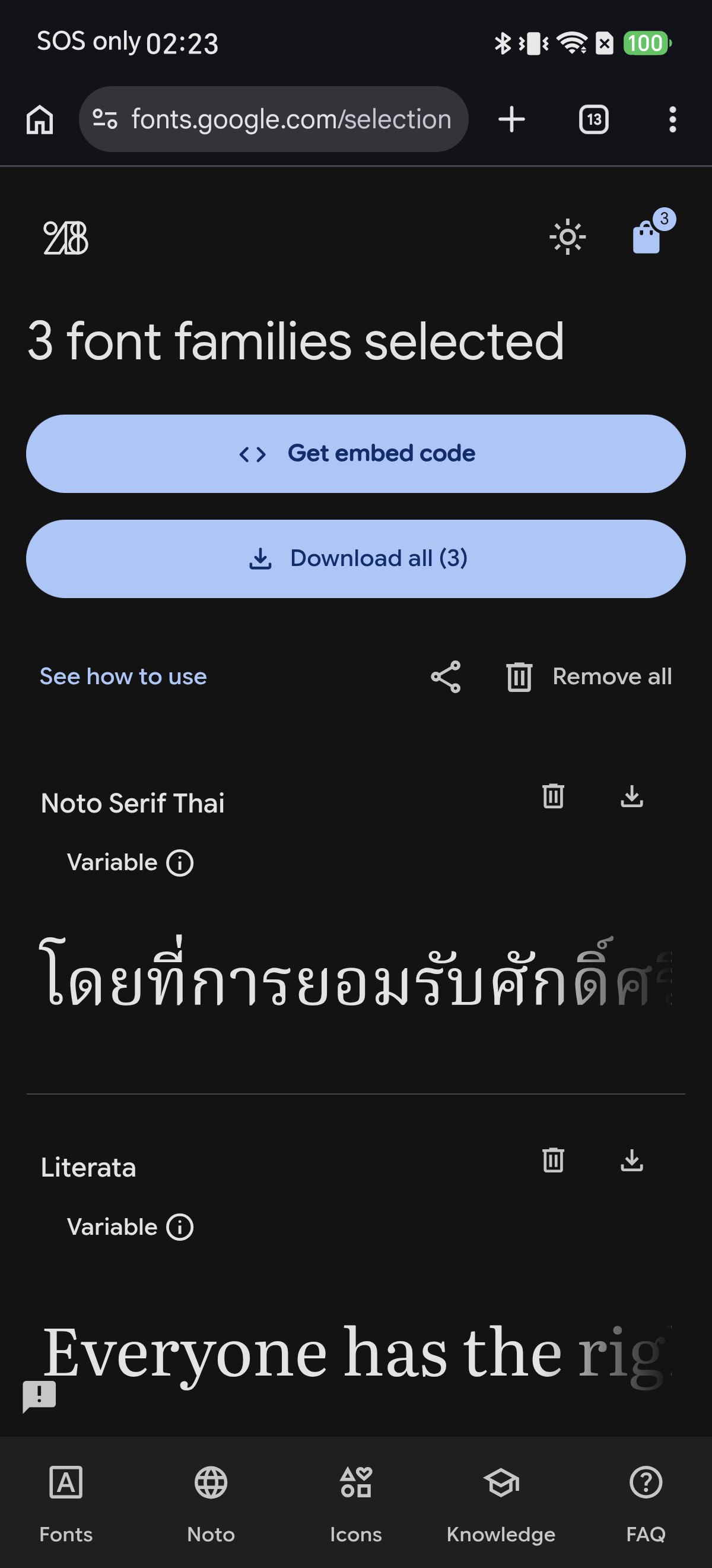 Google Fonts selection panel with 3 families and Download all button